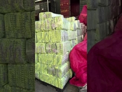 πάνες uniconcern